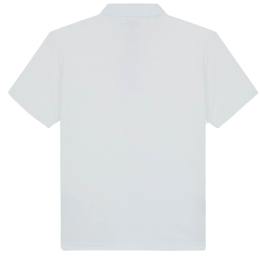 Everyday Polo Shirt - White by Dickies Shirts Dickies   