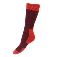 Glen Lady Socks - Mulberry by House of Cheviot Accessories House of Cheviot   