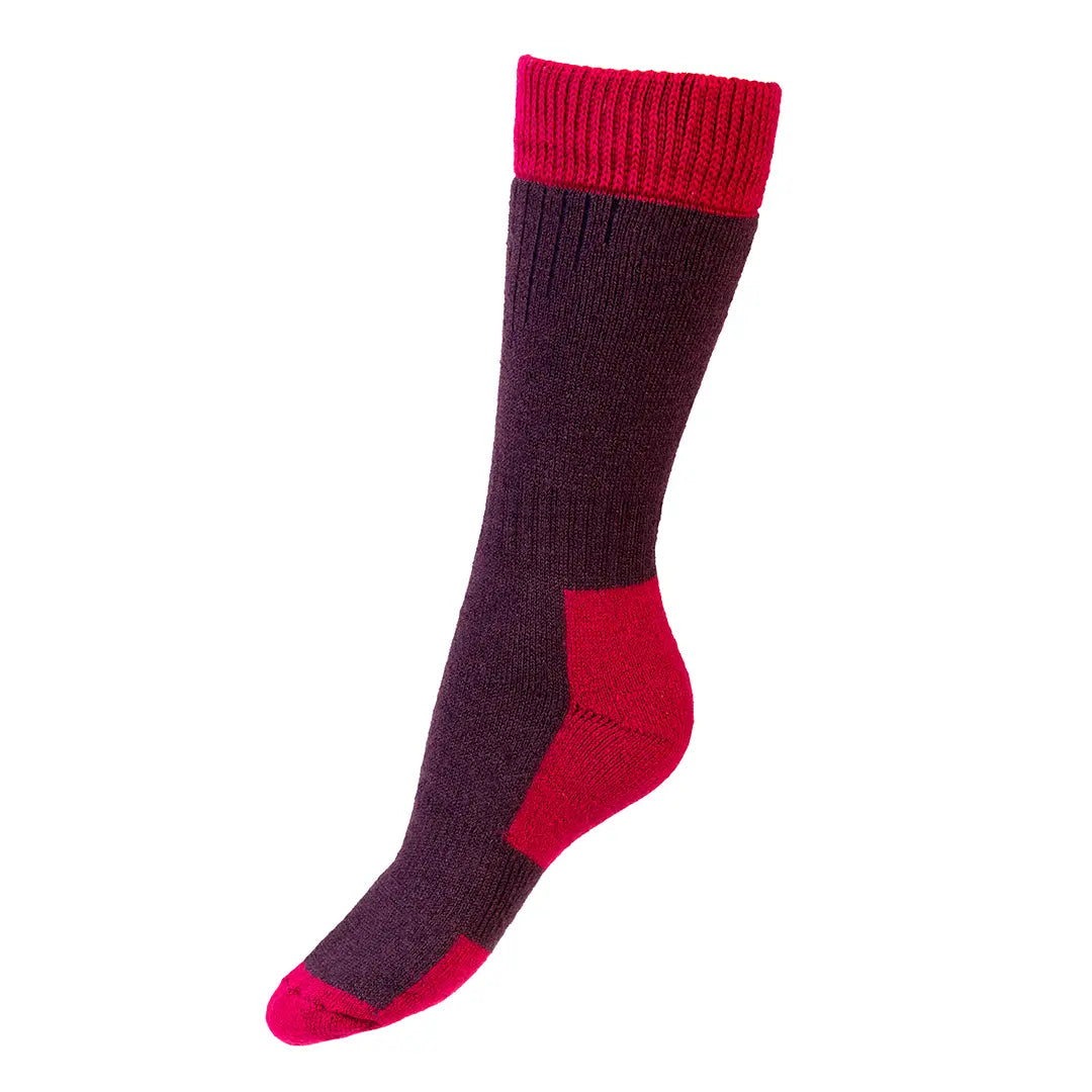 Glen Lady Socks - Thistle by House of Cheviot Accessories House of Cheviot   