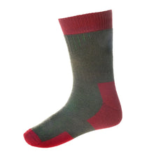 Glen Sock - Spruce by House of Cheviot Accessories House of Cheviot   