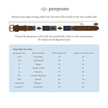 Leather Dog Collar Multi by Pampeano Accessories Pampeano   