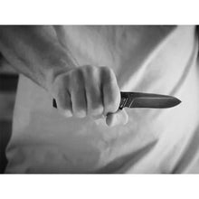 Paralite Rose FE DP Folding Clip Knife by Gerber Accessories Gerber   
